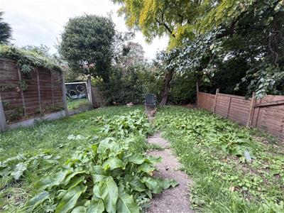 Picture 23